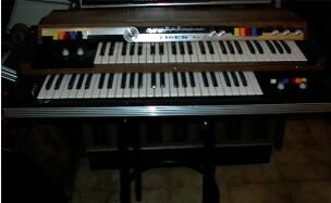 Organo Eko Tiger Duo R