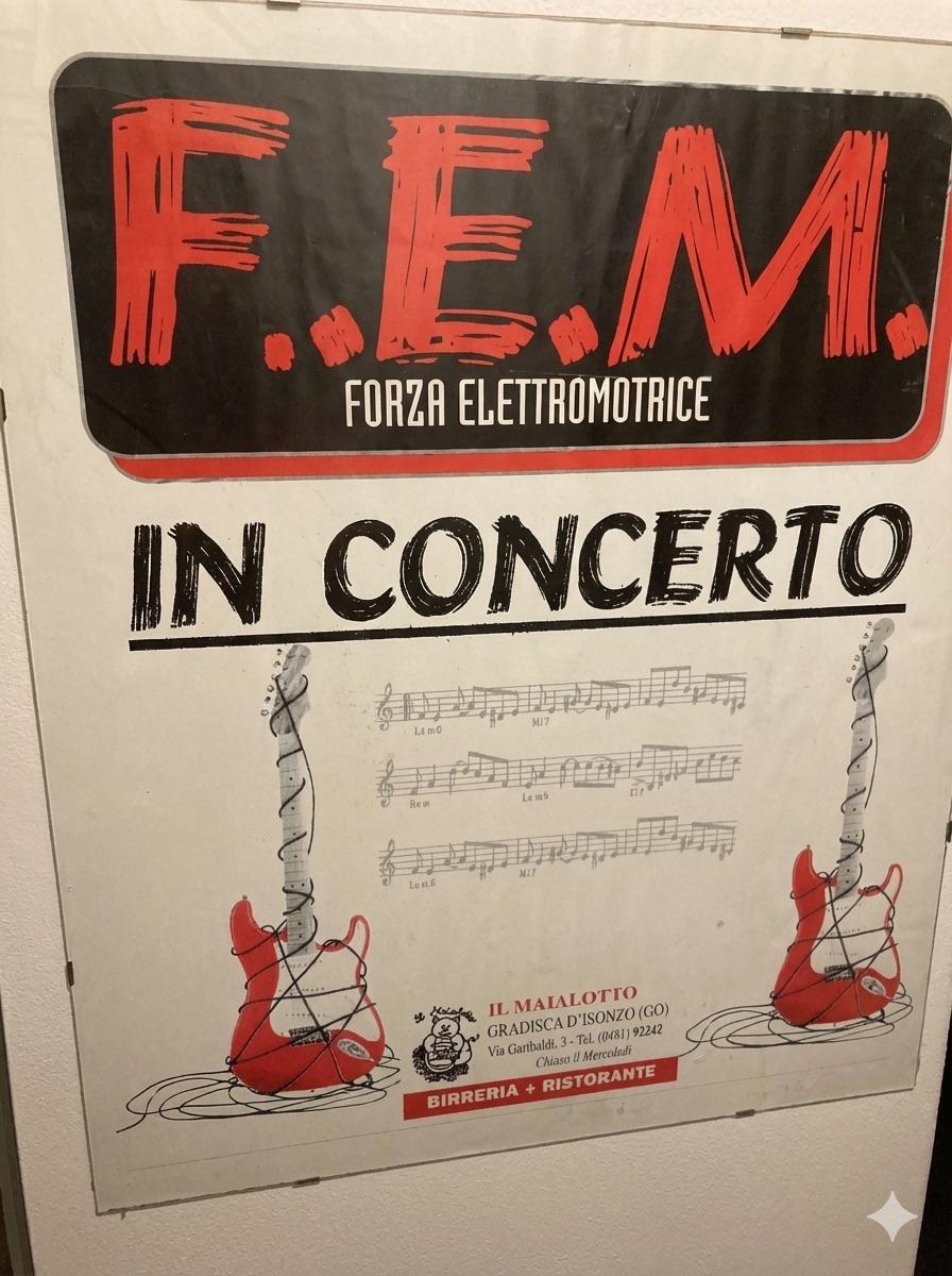 Manifesto F.E.M.