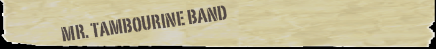 Mr Tambourine Band